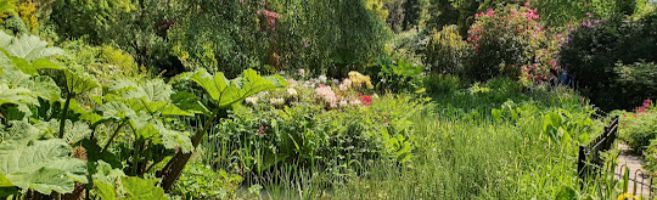 Stockport town centre Greater Manchester